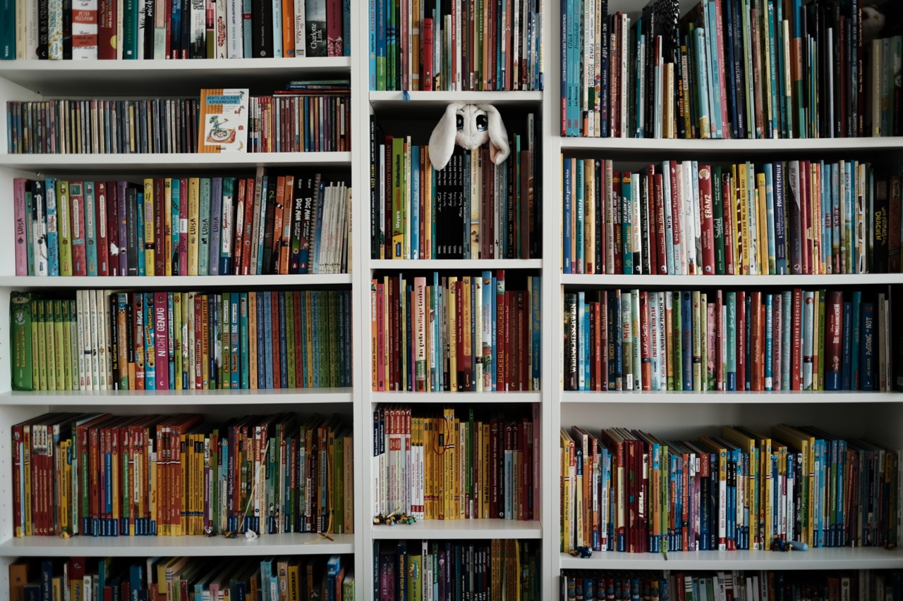 3 Bücherregale voll mit Büchern